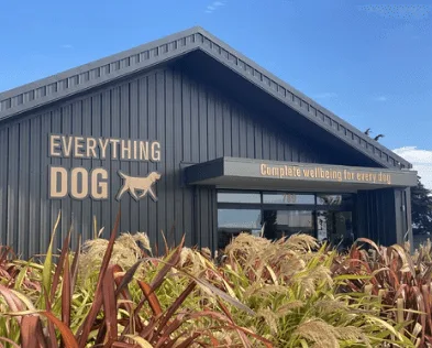 Everything Dog — Exterior facade
